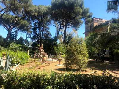 Passeggiando tra aiuole, palme e arbusti... 